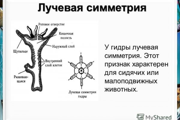 Зеркало блэкспрут blacksprut adress com