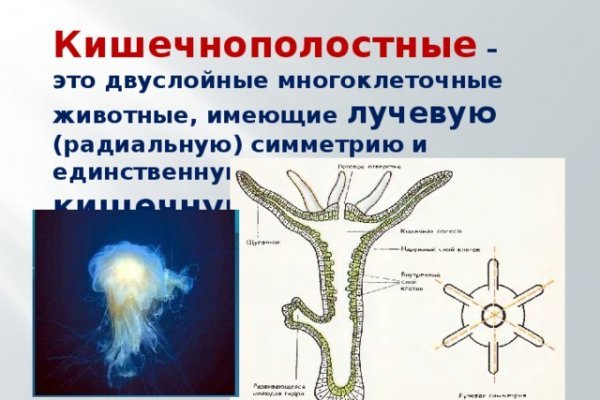 Black sprut телеграм бот